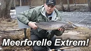 Angeln Extrem auf Meerforelle im Fluss