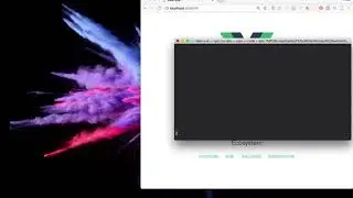 Learning VueJS using Vue CLI with Chris Fritz, Vue Core Team & Tracy Lee, This Dot & GDE
