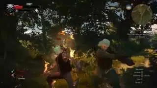 The Witcher 3 Decapitation