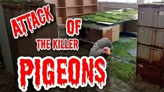 Exploring An ABANDONED  School