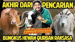 AKHIR DARI PENCARIAN HEWAN QURBAN RAKSASA! BUNGKUS DOMBA TERBESAR YANG ADA DISINI! GALAK BANGET!
