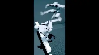 Short 3 I Wee meme | Spinning kick l Ushiro mawashi