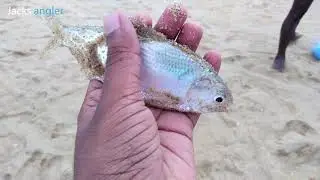 Handline fishing  #baitfishing  #inshorefishing #catfish