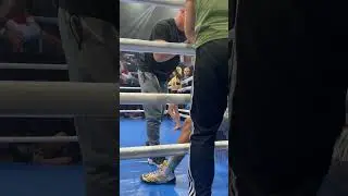 Бокс , Днепр
