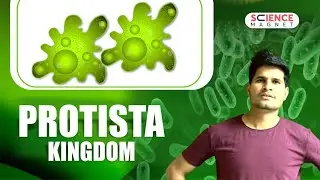 Protista Kingdom Explained by Neeraj Sir | Science Important Question #neerajsir