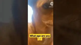 What age are you 🤔 