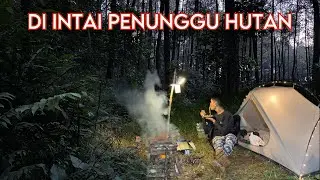 Solo Camping in this place is quite scary