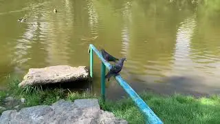 Пришла полюбоваться природой в Пасхальные дни