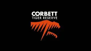 Corbett National Park - The Land of the Roar, Trumpet & Song