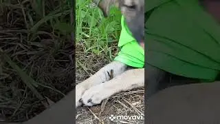 гуляют мои маленькие, любимые девочки 😘😘😘😘😘😘😘