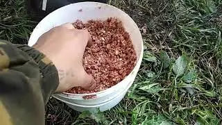Снова на рыбалки, рыбы нет, за то отдохнул.