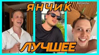 ЛУЧШИЕ ВИДОСЫ ЯНЧИКА В 2024 | ЗАСМЕЯЛСЯ ПОДПИСАЛСЯ!