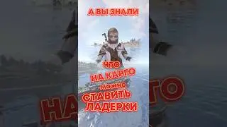 На карго можно ставить ладерки в расте rust 