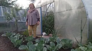 КАПУСТА!
