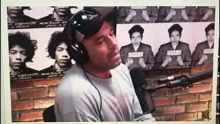Joe Rogan talk about Master Alvaro Romano