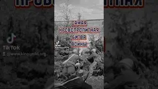 фильм «Василёк» 