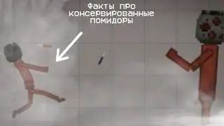 Факты про консервированные помидоры с 