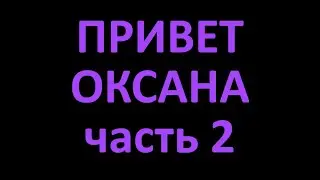 seek global network отзывы обзор