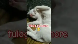 Yun wala syang paki kahit Ang ingay