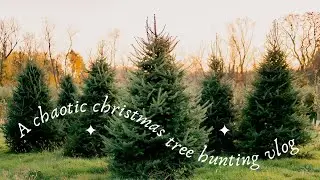 My first real Christmas tree at 31 