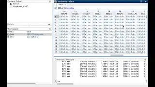 [2021 update] Opening EDF files in MATLAB + Plotting EEG signal