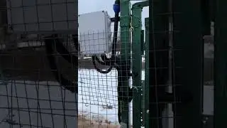 Защитил электронный замок от коровы