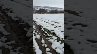 дтз5404к #веземо дрова