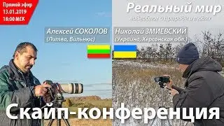 Скайп-конференция Николая Змиевского (Украина) и Алексея Соколова (Литва). Запись от 13.01.2019.