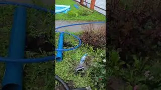 Скважина на молоко. Молочные реки