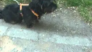 Margaret 2014-07-06