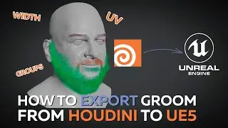 Exporting groom from Houdini to Unreal Engine 5/ Grooming / 3D