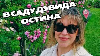 837.  ВОКРУГ МЕНЯ-ВОЛШЕБНЫЙ САД...ВДОХНОВЛЯЕМСЯ!