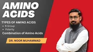 Amino Acids | R-Group & Polarity | Combination of Amino Acids | AS Bio