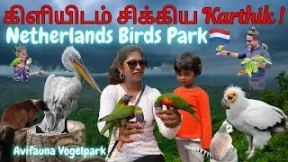 Birds Park Netherlands | Largest Birds Paradise | 4K Kids Fun Day out Bird show Avifauna Vogelpark