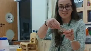 DIY Paint