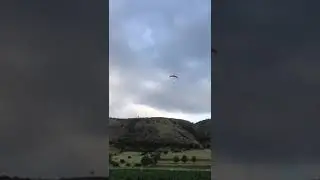 MİSÜR TARLASINA İNME