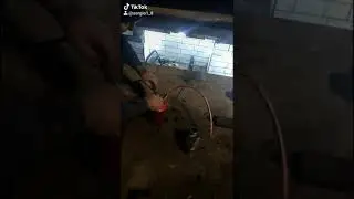Нагнетатель для заливания масло трансмисию своими руками