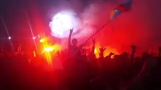 Доброфест. Тараканы