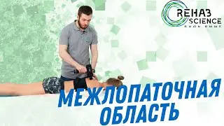 Межлопаточная область перкуссионный массаж