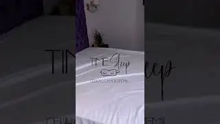 8 ноября 2023 г.