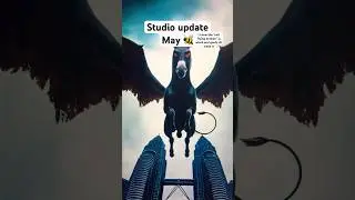 Studio update: May 🐝 