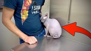 Scared of the Vet! Vlogmas Day 11