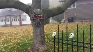 Halloween decorations 2017
