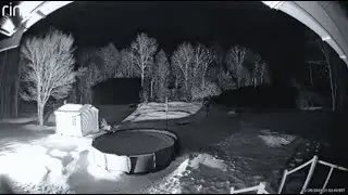 YOU NEED TO SEE THIS RIGHT AWAY!! THIS WAS CAPTURED ON A RING CAM!!