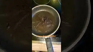 Кто знает куда они деваются!?🍄🧐 #грибы #жиза