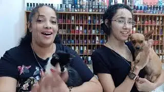 COMO O CÃOZINHO BILLY SUMIU! (ASSISTA ATÉ O FINAL)