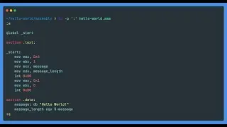 Breath air, drink sparkling water and code in Assembly...