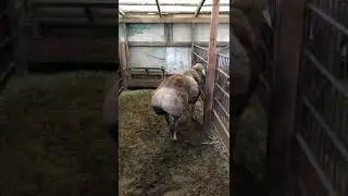 Ерёма. Архив