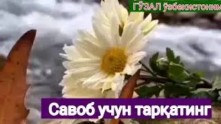 Барно отинойи.. @otinoyilar8551