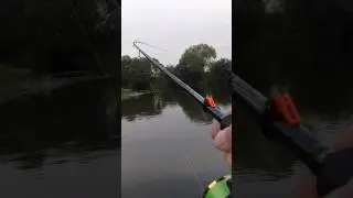 Ого нічого собі КЛЮВАКА😲 #рибалка #fishing